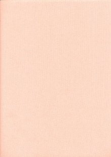 Rose & Hubble - Rainbow Craft Cotton Plain Peach 21