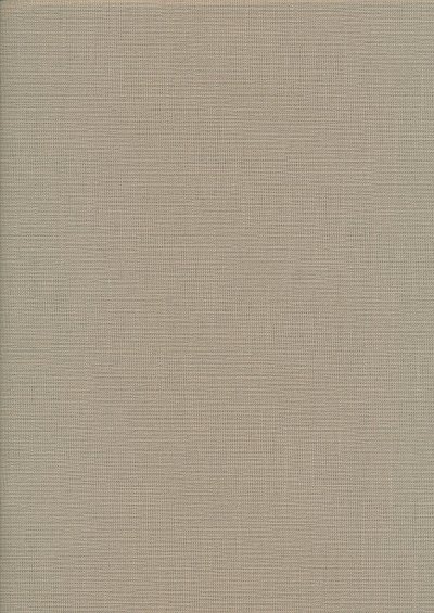 Plain Cotton Canvas - Fern