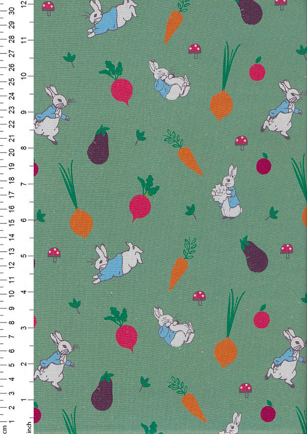 Craft Cotton Co. - Peter Rabbit S A Day 2870/5