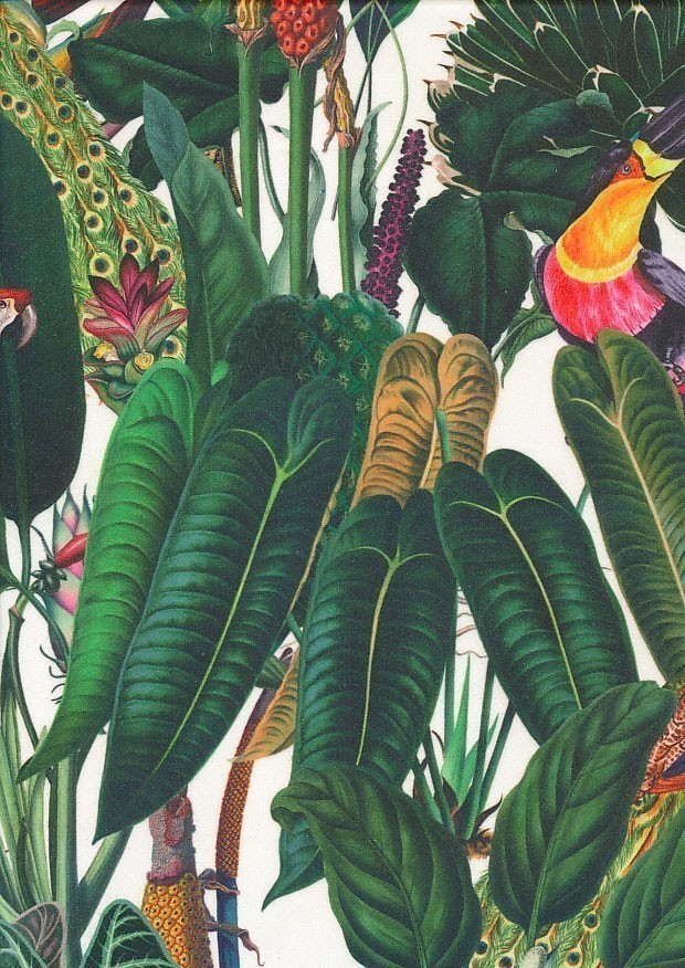 Chatham Glyn - Tropical Velvet Sumatra Natural
