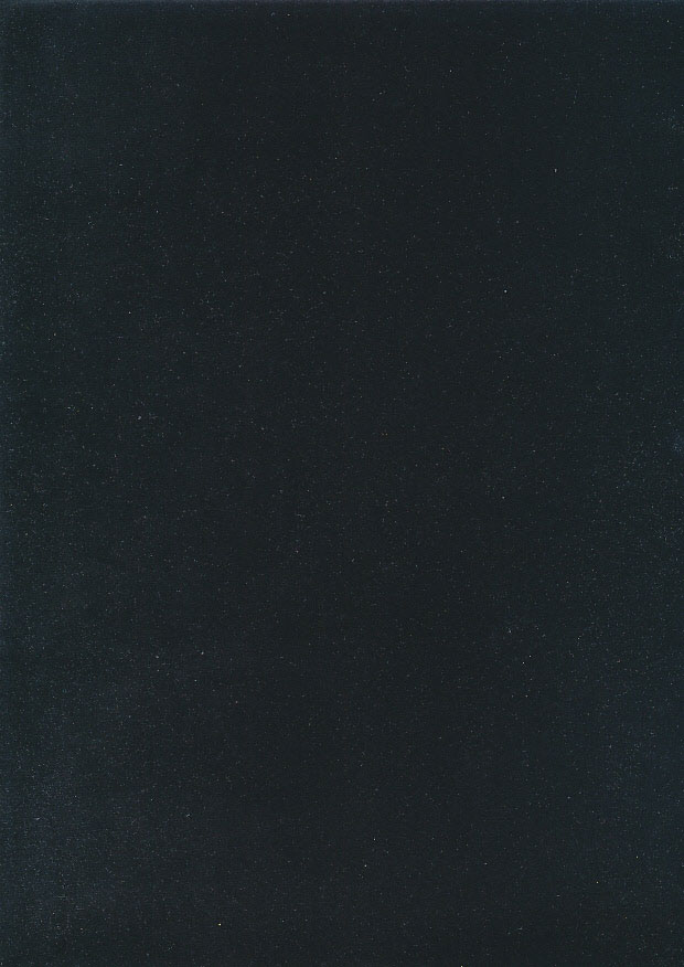 Chatham Glyn - Polyester Velvet Black