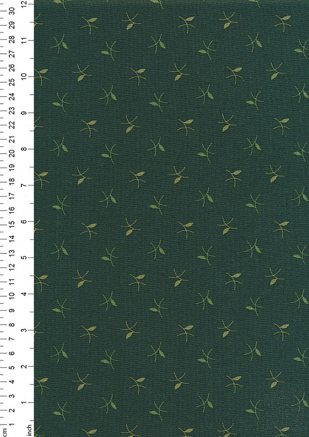 Braveheart by Edyta Sitar for Andover Fabrics - D#9184 C#G