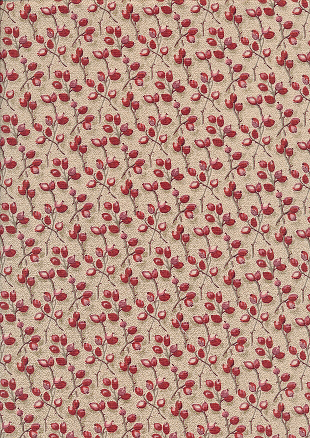 Braveheart by Edyta Sitar for Andover Fabrics - D#9176 C#R