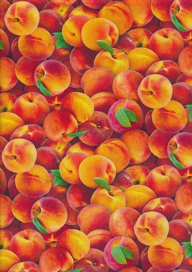 Elizabeth's Studio - Food Festival Peaches 578-Multi