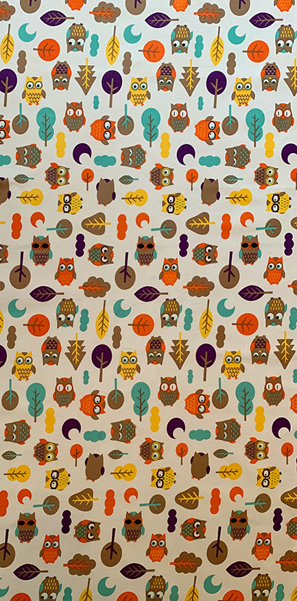 Canvas Furnishing Fabric - Owls Multi