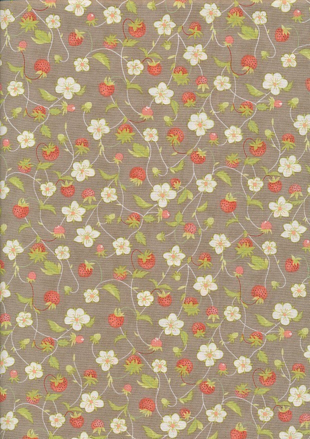 Moda Fabrics - Strawberries & Rhubarb 20402-17
