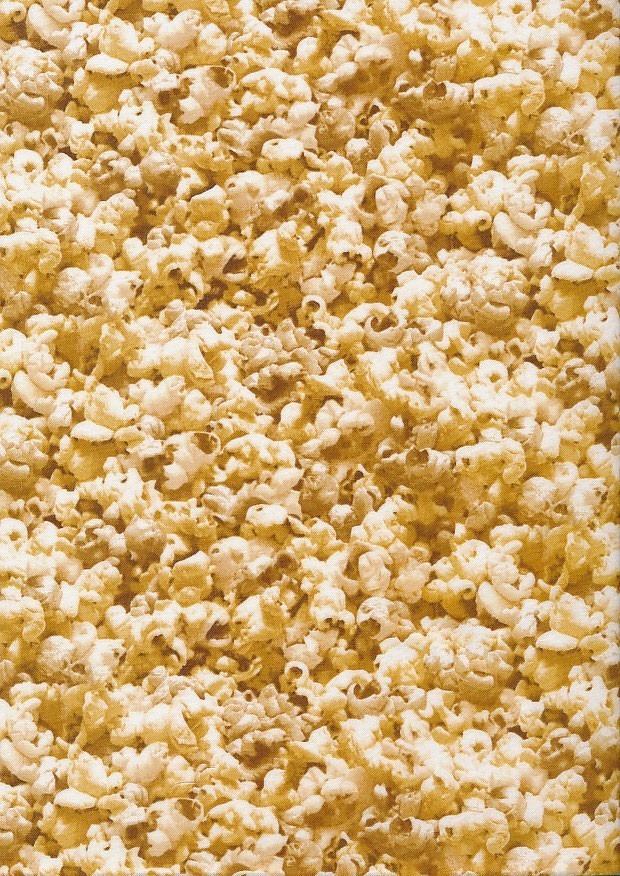 Novelty Fabric - Popcorn