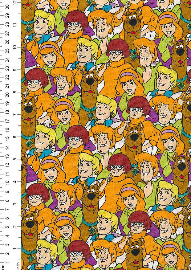 Scooby Doo Scooby and the Gang 23700302VS