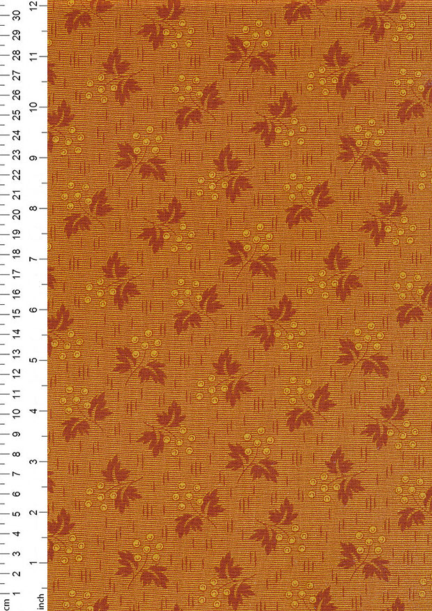 Renee Nanneman For Andover Fabrics - Acorn Harvest 9801/O