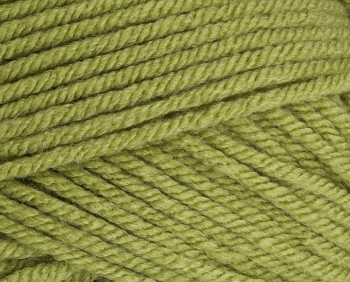 Stylecraft Yarn Special Chunky Meadow 1065