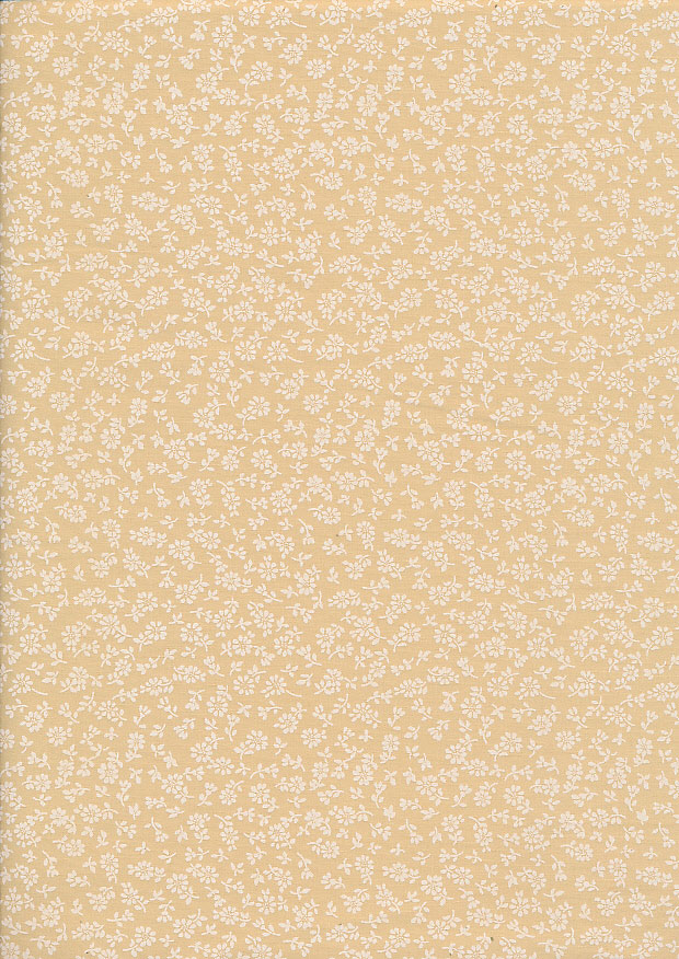 Fabric Freedom - Pastels 4470 Beige