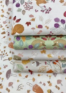 Cassandra Connolly For Lewis & Irene - Squirreled Away 5 x Half Metre Pack 3
