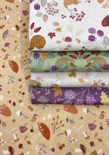 Cassandra Connolly For Lewis & Irene - Squirreled Away 5 x Half Metre Pack 5