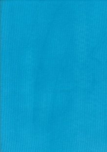 Plain Cotton Needlecord -Turquoise