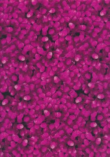 Clothworks - Y3055-74-Raspeberry