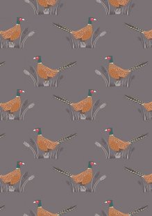 Lewis & Irene - Country Life Reloved A91.3 - Pheasants on earth