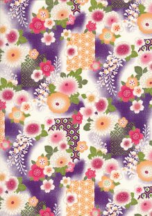Authentic  Japanese Fabric - 143