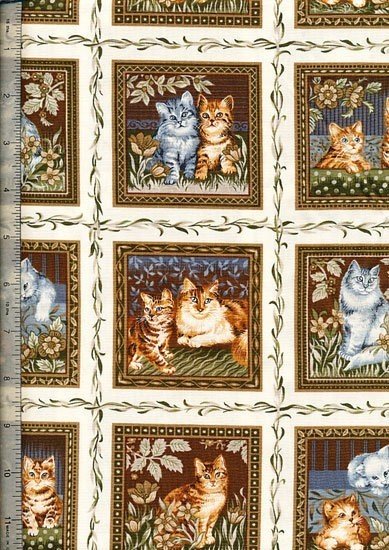 Novelty - Cream Cat Squares