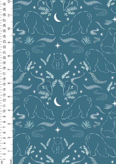 Cassandra Connolly For Lewis & Irene - Arctic Adventure Arctic Lights, Winter Nights on Teal - CC28.3