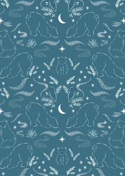 Cassandra Connolly For Lewis & Irene - Arctic Adventure Arctic Lights, Winter Nights on Teal - CC28.3