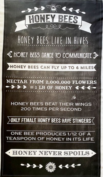 Michael Miller Panel - Honey Bees 60cm