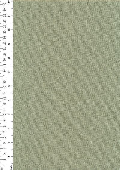 Plain Cotton Canvas - Apple Green