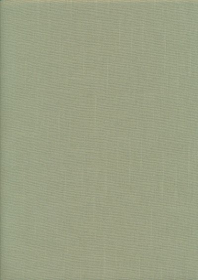 Plain Cotton Canvas - Apple Green