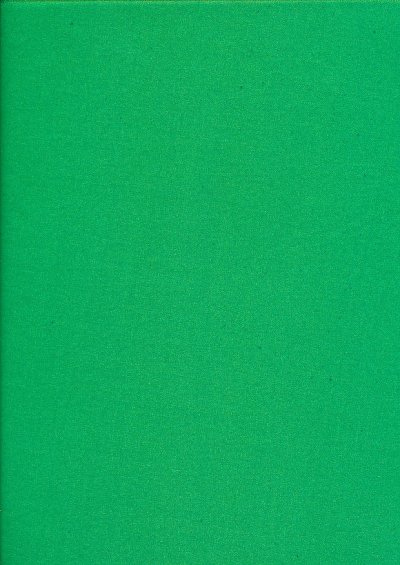 Polyester Organza - Green