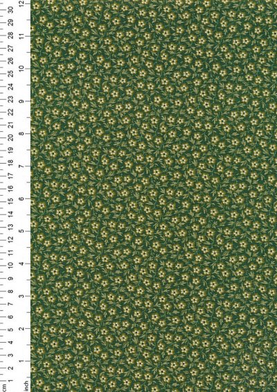 Braveheart by Edyta Sitar for Andover Fabrics - D#9178 C#G