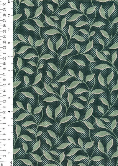 Braveheart by Edyta Sitar for Andover Fabrics - D#9177 C#G