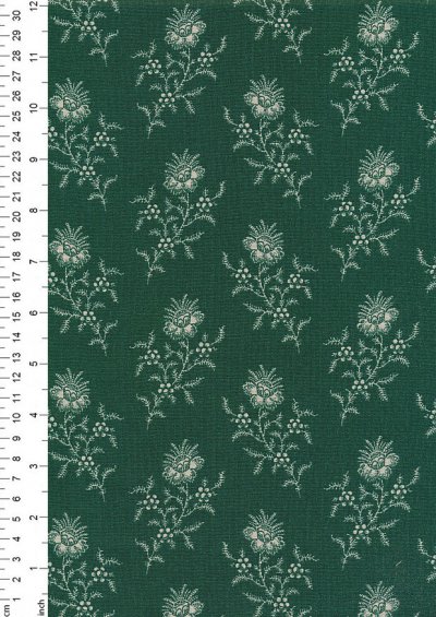 Braveheart by Edyta Sitar for Andover Fabrics - D#9175 C#G