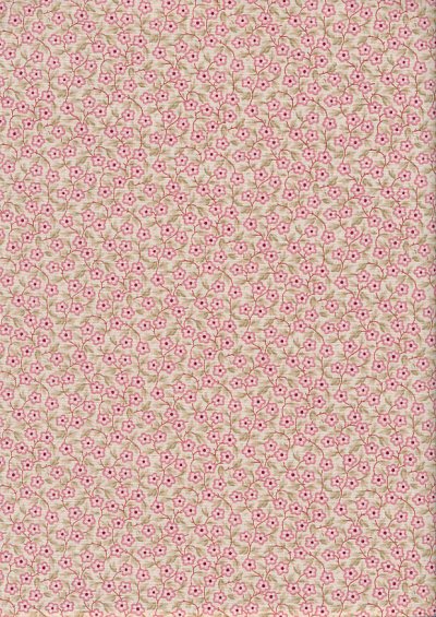 Braveheart by Edyta Sitar for Andover Fabrics - D#9178 C#RE