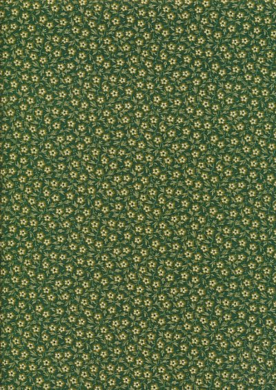 Braveheart by Edyta Sitar for Andover Fabrics - D#9178 C#G