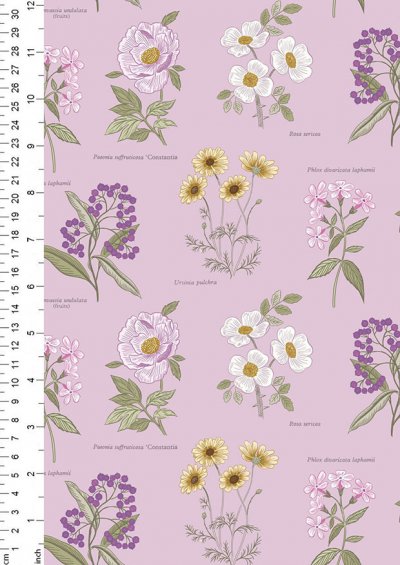 Lewis & Irene - Botanic Garden A453.3 Botanic flowers on lilac