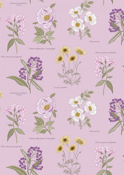Lewis & Irene - Botanic Garden A453.3 Botanic flowers on lilac