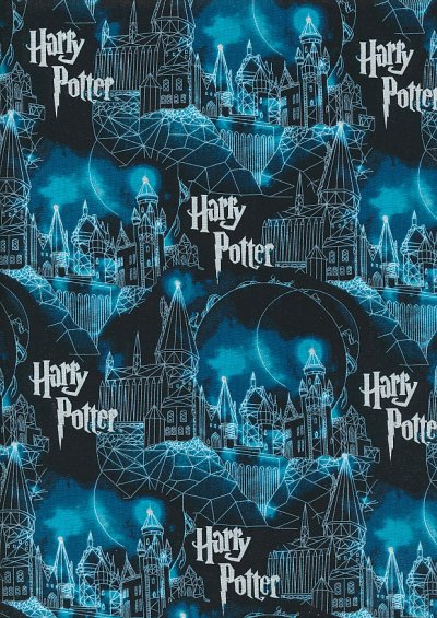 Camelot Licensed Print - Harry Potter Hogwarts Moon