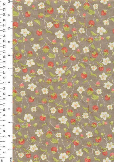 Moda Fabrics - Strawberries & Rhubarb 20402-17