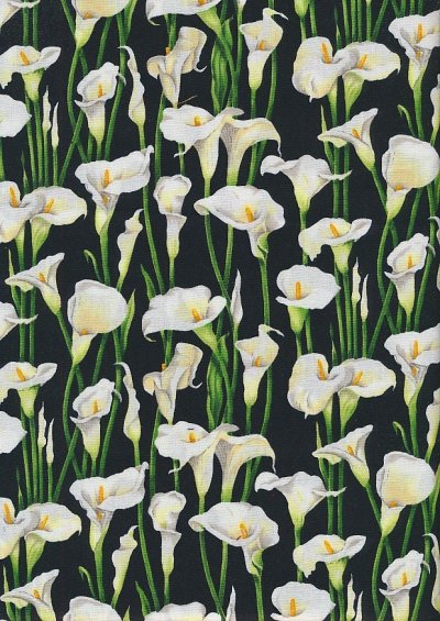 Novelty Fabric - Lillies On Black