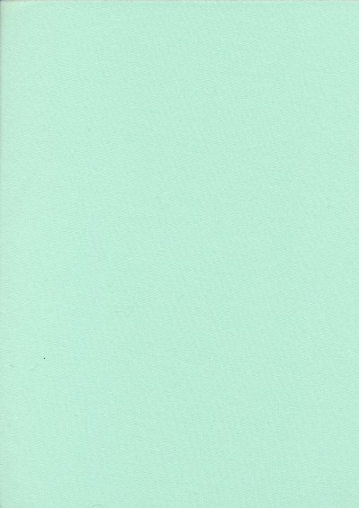 Perfectly Plain - Mint Green