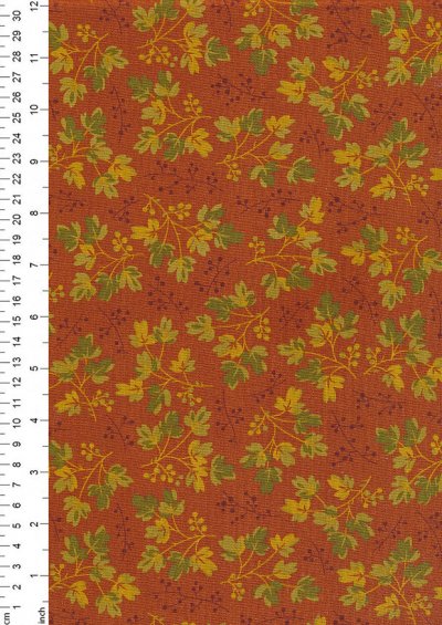 Renee Nanneman For Andover Fabrics - Acorn Harvest 9799/O