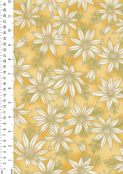 Leesa Chandler - Under The Australian Sun Flannel Flowers Gold