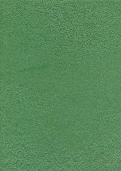 Sew Simple Batik Basic - Green SSD1633