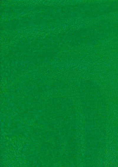 Sew Simple Batik Basic - Green SSD1632
