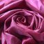 Silk Dupion - Rose 10