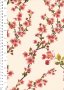 Lady McElroy Cotton Lawn - Spring Blossom Pink 1060