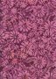 Kingfisher Bali Batik - SSS19-7#9 Pink