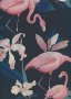 Lady McElroy Cotton Lawn - Botanical Flamenco Midnight-872