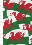 Novelty Fabric - Welsh Flags